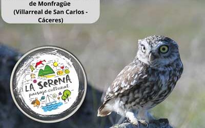 LA SERENA, PAISAJE CULTURAL PARTICIPARÁ UN AÑO MÁS COMO EXPOSITOR EN FIO 2026